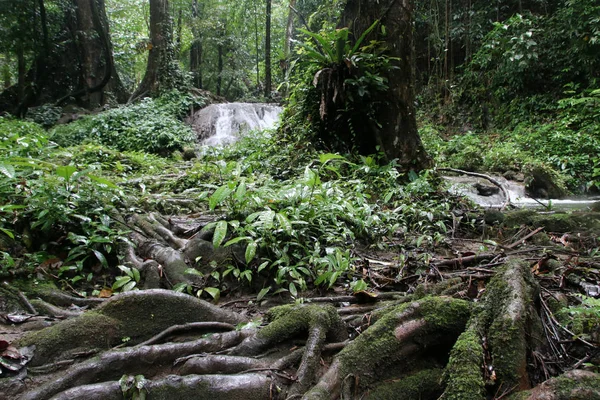 Vattenfall Vid Nang Manora Forest Park Phang Nga Provinsen Thailand — Stockfoto