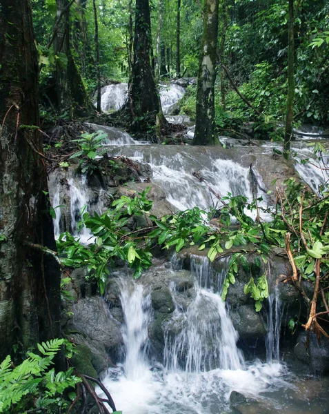 Vattenfall Vid Nang Manora Forest Park Phang Nga Provinsen Thailand — Stockfoto