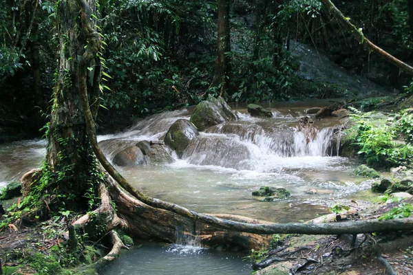 Cascada Parque Forestal Nang Manora Provincia Phang Nga Tailandia —  Fotos de Stock