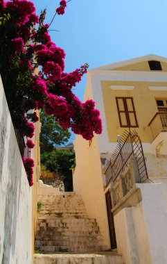 Symi, taş merdivenler ve Ano Symi caddesinde renkli evler, Suriye Adası, Yunanistan