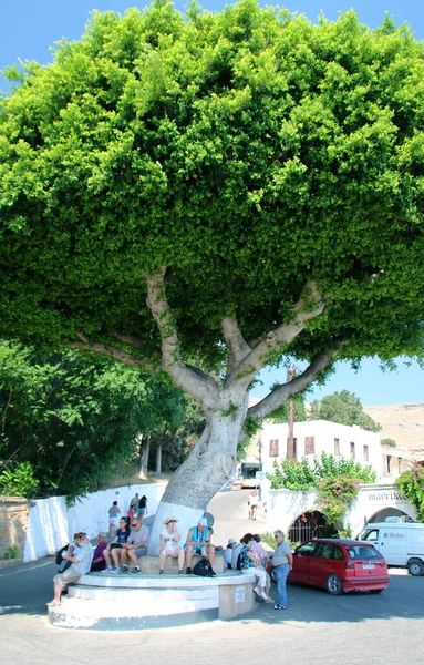 Turistas Descansan Bajo Gran Árbol Lindos Grecia — Foto de Stock