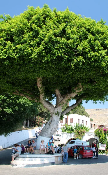 Туристи Відпочивають Під Великим Деревом Ліндо Греція — стокове фото