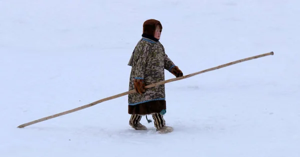 Nefteyugani Western Siberia Russia 2019年3月20日 身穿国家冬衣的年轻汉提女孩拿着一根可怜兮兮的长杆驾驶驯鹿 — 图库照片