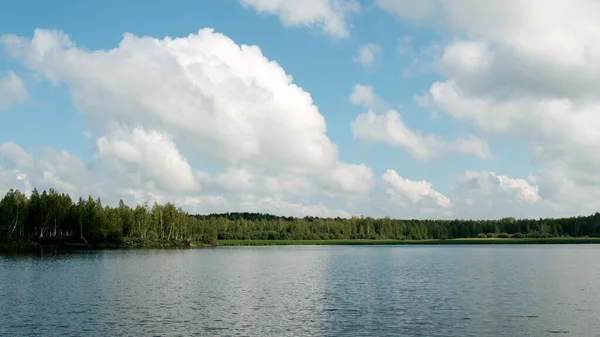 Bos Uitzicht Het Meer Glad Oppervlak Van Een Meer Met — Stockfoto