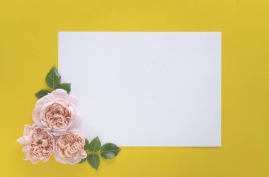 Çiçek çerçevesi kopyalanmış güllerle yapılmış