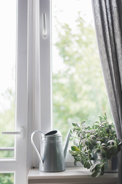 Концепция посадки цветов дома. много видов суккулентов в окне