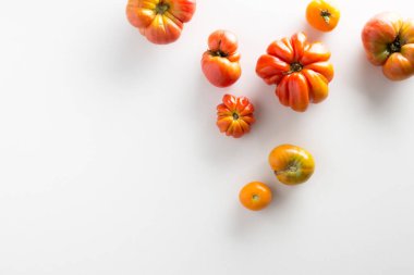 organik kırmızı domatesler beyaz arkaplanda kopyalama alanı ile