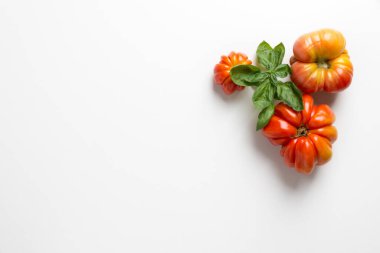 Beyaz arka planda fesleğen yapraklı organik kırmızı domatesler