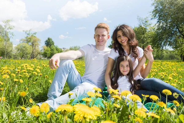 Retrato Familia Feliz Sentada Campo Flores Parque Día Soleado —  Fotos de Stock