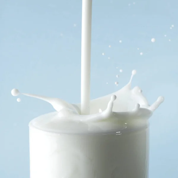 Spritzer Milch Glas Auf Blauem Hintergrund — Stockfoto