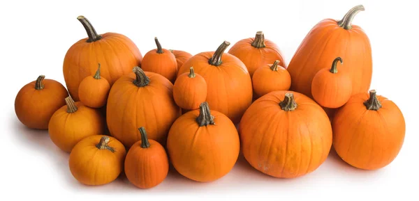 Många Orange Pumpor Isolerad Vit Bakgrund Halloween Koncept — Stockfoto