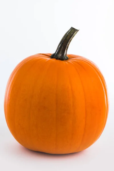 Одна Оранжевая Тыква Белом Фоне Концепция Хэллоуина — стоковое фото