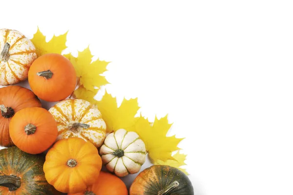 Veel Kleurrijke Pompoenen Frame Geïsoleerd Een Witte Achtergrond Herfst Oogst — Stockfoto