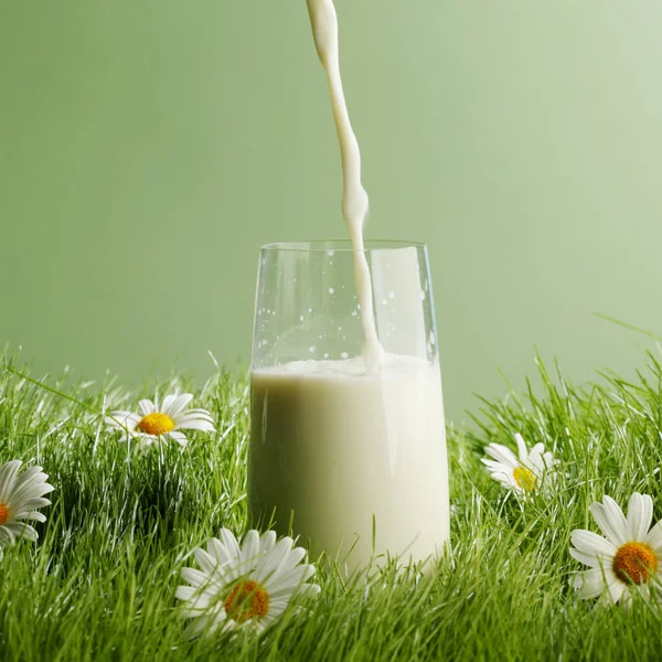 Milch Ein Glas Gießen Das Auf Einem Blumenfeld Steht — Stockfoto