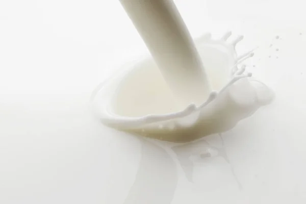 Gießen Milchspritzer Auf Weißem Hintergrund Makro — Stockfoto