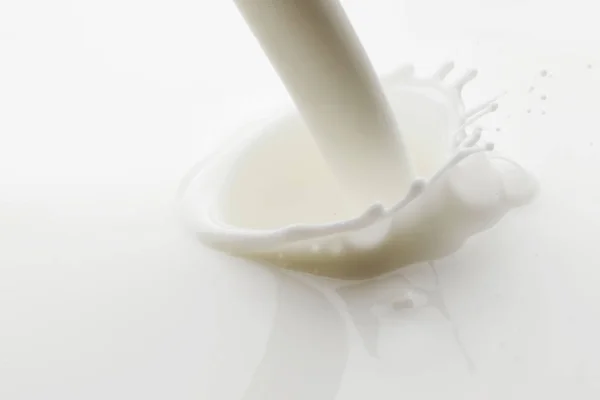 Pouring Milk Splash White Background Macro — Stock Photo, Image