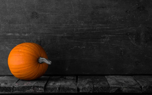 One Orange Pumpkin Dark Wooden Background Halloween Concept — Stock Photo, Image