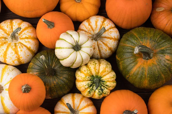 Számos Különböző Háttér Tök Halloween Vagy Hálaadás Napja Koncepció — Stock Fotó