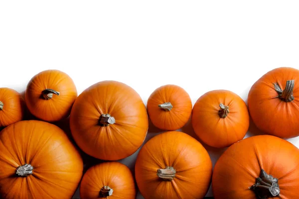 Muitas Abóboras Laranja Quadro Isolado Fundo Branco Colheita Outono Halloween — Fotografia de Stock