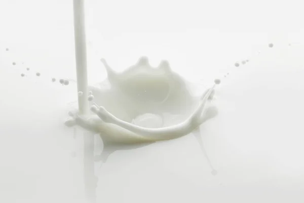 Nalil Mléko Stříkající Bílém Pozadí Makro — Stock fotografie