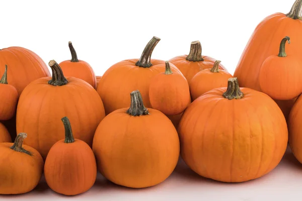Veel Oranje Pompoenen Geïsoleerd Een Witte Achtergrond Halloween Concept — Stockfoto