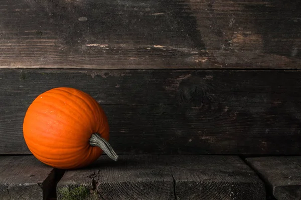 One Orange Pumpkin Dark Wooden Background Halloween Concept — Stock Photo, Image