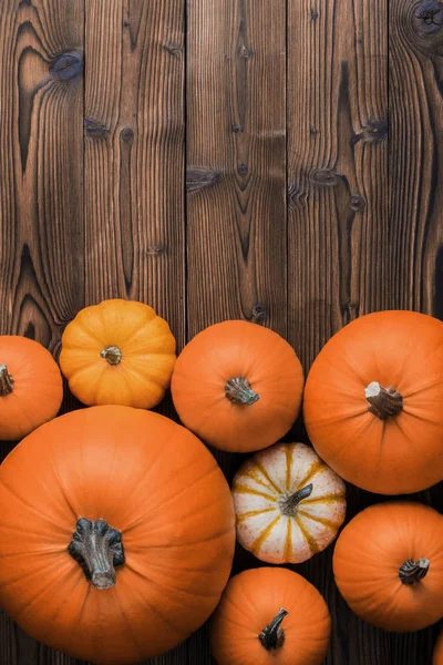 Muchas Calabazas Color Naranja Sobre Fondo Madera Con Espacio Copia — Foto de Stock