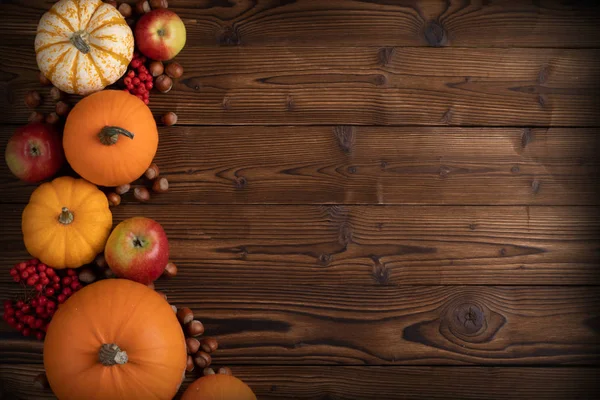 Herbsterntestillleben Mit Kürbissen Äpfeln Haselnüssen Und Vogelbeeren Auf Holzgrund Draufsicht — Stockfoto