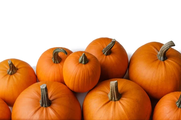 Veel Oranje Pompoenen Geïsoleerd Een Witte Achtergrond Halloween Concept — Stockfoto