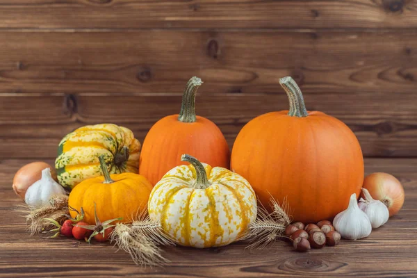 Otoño Cosecha Bodegón Con Calabazas Espigas Trigo Avellanas Ajo Cebolla — Foto de Stock