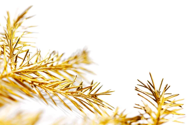 白い背景に分離されたゴールデン クリスマス ツリー ブランチ — ストック写真