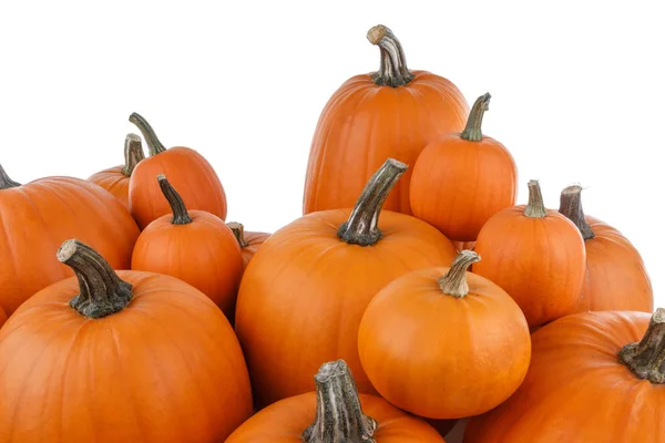 Heap Van Vele Oranje Pompoenen Geïsoleerd Witte Achtergrond Halloween Concept — Stockfoto