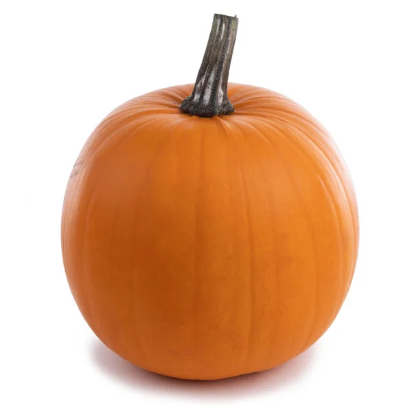 Una Calabaza Naranja Perfecta Aislada Sobre Fondo Blanco Concepto Halloween — Foto de Stock