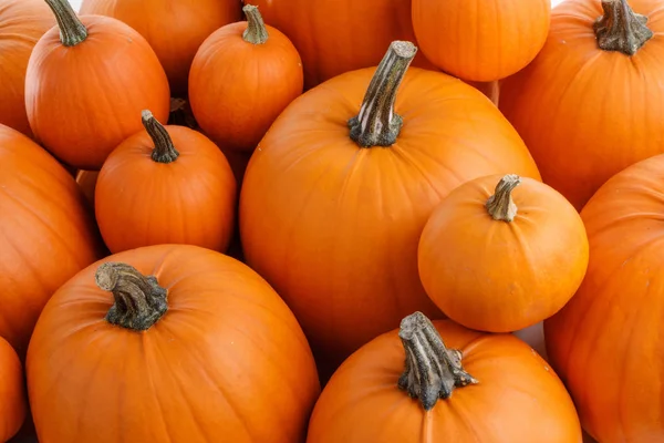 Achtergrond Van Veel Oranje Pompoenen Halloween Concept — Stockfoto