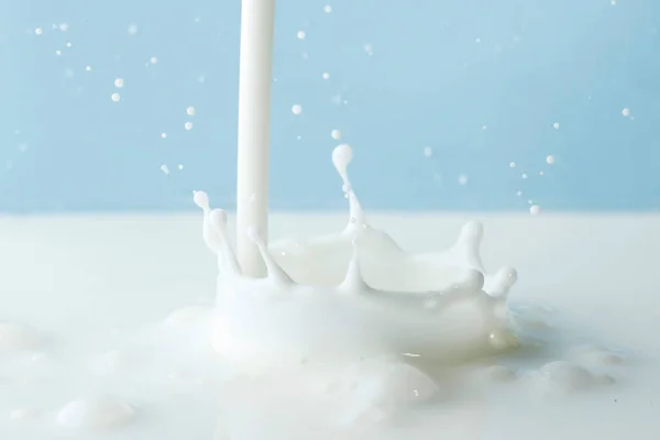 Pouring Milk Splash Blue Background Close — Stock Photo, Image