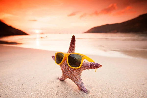 Starfish Napszemüveg Homok Tropical Beach Napnyugtakor — Stock Fotó