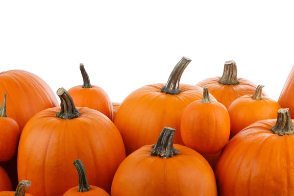 Haufen Vieler Orangefarbener Kürbisse Auf Weißem Hintergrund Halloween Konzept — Stockfoto