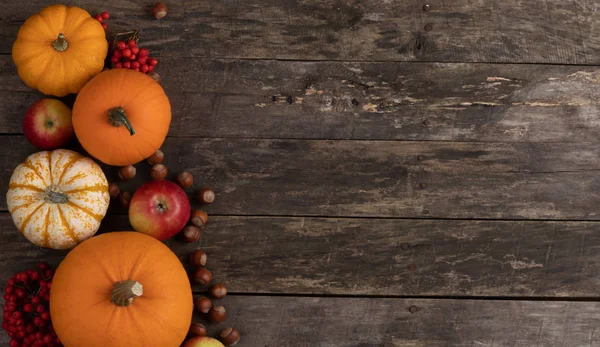 Autumn Harvest Still Life Pumpkins Apples Hazelnuts Wooden Background Top — Stock Photo, Image