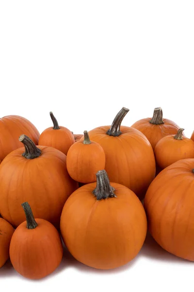 Heap Van Vele Oranje Pompoenen Geïsoleerd Witte Achtergrond Halloween Concept — Stockfoto