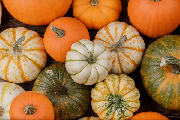 Muitas Abóboras Laranja Fundo Conceito Halloween — Fotografia de Stock