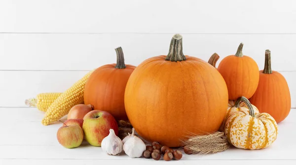 Autumn Harvest Still Life Pumpkins Apples Hazelnut Corn Ginger Onion — Stock Photo, Image