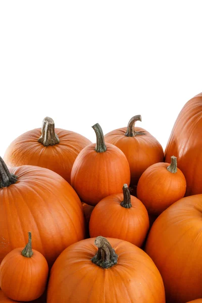 Heap Van Vele Oranje Pompoenen Geïsoleerd Witte Achtergrond Halloween Concept — Stockfoto