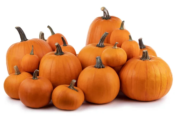 Heap Van Vele Oranje Pompoenen Geïsoleerd Witte Achtergrond Halloween Concept — Stockfoto