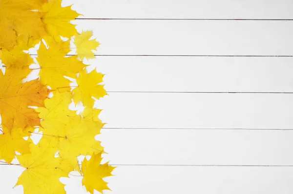 Φύλλα Σφενδάμου Κίτρινο Πλαίσιο Αντίγραφο Χώρο Λευκό Φόντο Ξύλινη — Φωτογραφία Αρχείου