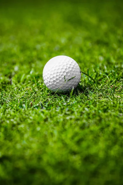 Golf Topu Golf Sahasının Yeşil Çimenlerin Üzerinde Yakın Çekim — Stok fotoğraf