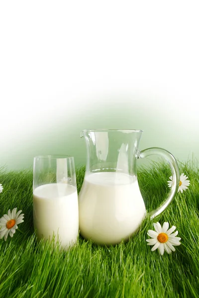 Glas Milch Und Glas Auf Frischer Graswiese Mit Kamille — Stockfoto