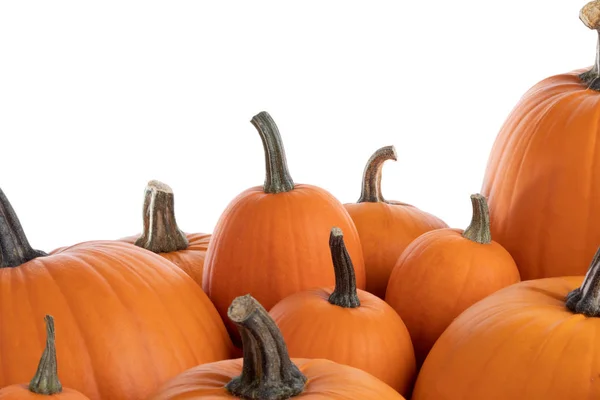 Heap Van Vele Oranje Pompoenen Geïsoleerd Witte Achtergrond Halloween Concept — Stockfoto