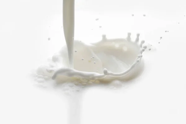 Pouring Milk Splash White Background Macro — Stock Photo, Image