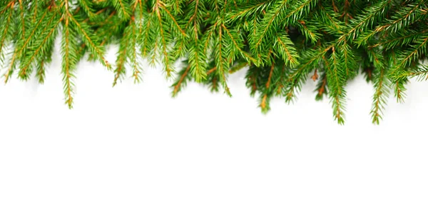 Árvore Natal Quadro Abeto Isolado Fundo Branco — Fotografia de Stock