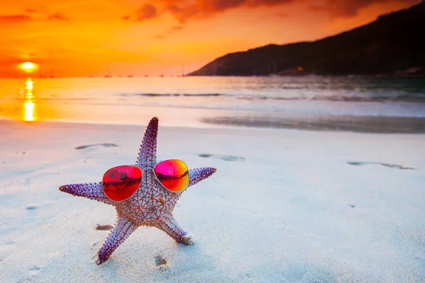 Hvězdice Slunečních Brýlích Mořské Pláži Při Západu Slunce Bali Seminyak — Stock fotografie